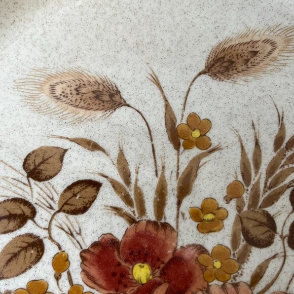 4 Endura Collection Stoneware Dinner Plates Festive SY-6669 Japan - Picture 6 of 10